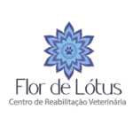 Flor de Lótus, cliente In.plexo