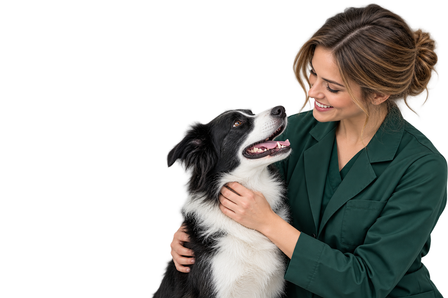 Veterinária com um cachorro, em composição da In.plexo